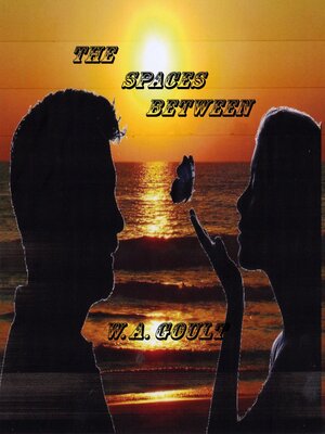 cover image of The Spaces Between